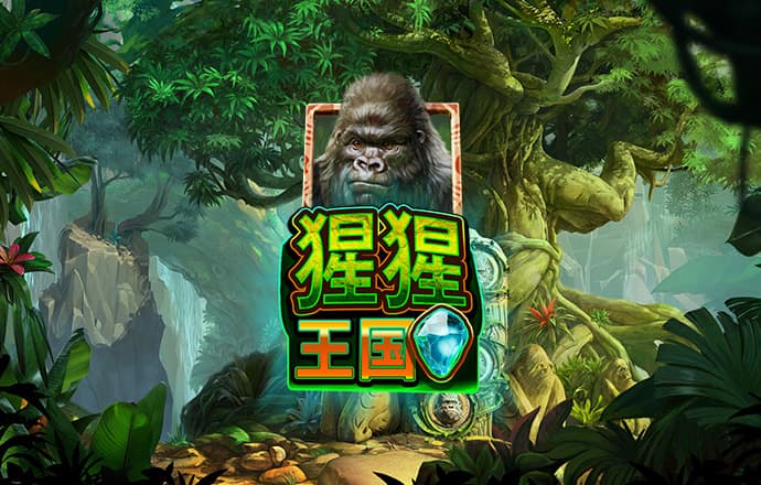 新奥门特免费资料大全火凤凰